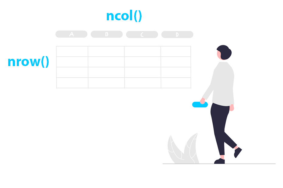 Número de filas y columnas en R
